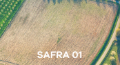 Avaliação temporal - Safra 1
