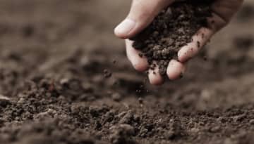 Amostragem a campo e análise laboratorial